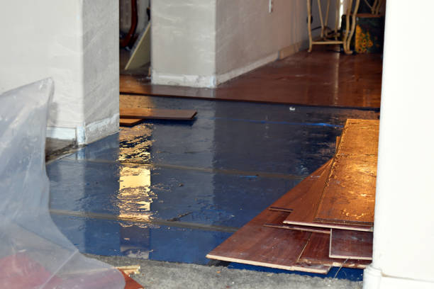 Professional Basement Water Removal technician working in Rossburg, OH