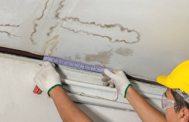 Reliable Basement Water Removal contractor in Rossburg, OH by Water Damage Irwin